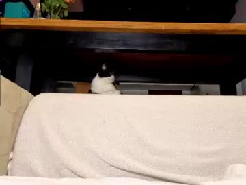 ardeliacarhart